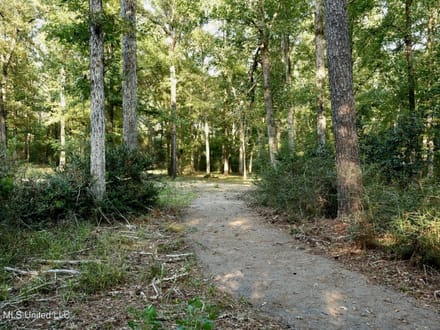3.5± Acres for Home or Business Near Summit, MS