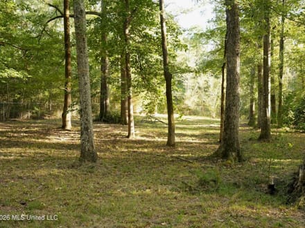 3.5± Acres for Home or Business Near Summit, MS