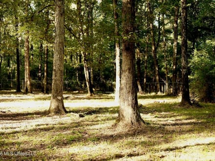 3.5± Acres for Home or Business Near Summit, MS