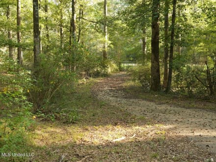 3.5± Acres for Home or Business Near Summit, MS