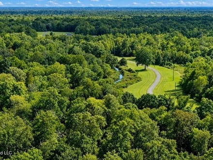 1979± Acre Hunting Plantation in White Castle, LA