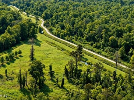 1979± Acre Hunting Plantation in White Castle, LA