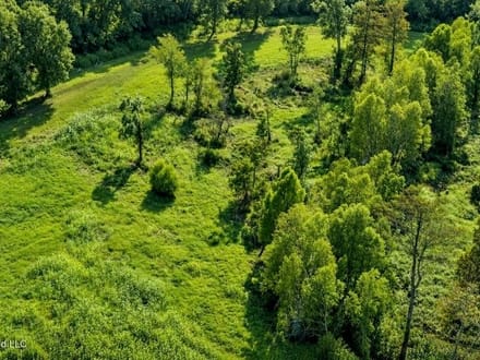 1979± Acre Hunting Plantation in White Castle, LA