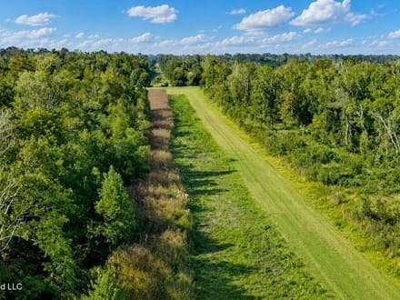 1979± Acre Hunting Plantation in White Castle, LA