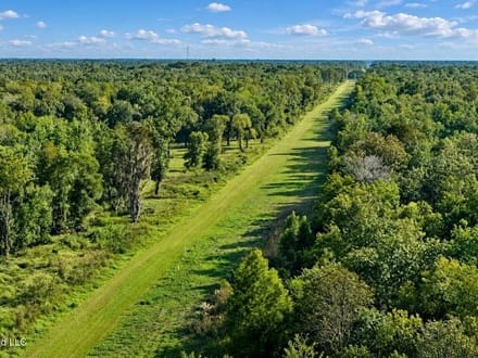 1979± Acre Hunting Plantation in White Castle, LA