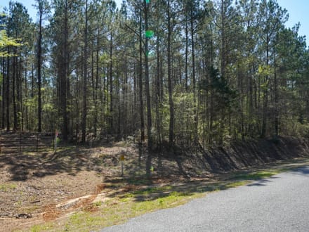 46± Acres Timber & Hunting Land in Lincoln Parish, LA