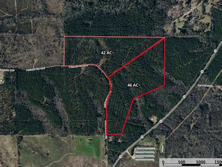 42± Acres of Timber Land for Sale in Lincoln Parish, LA