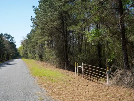 42± Acres of Timber Land for Sale in Lincoln Parish, LA