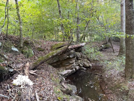 McLendons Creek Timberland