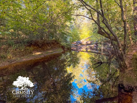 McLendons Creek Timberland