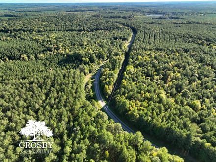 McLendons Creek Timberland