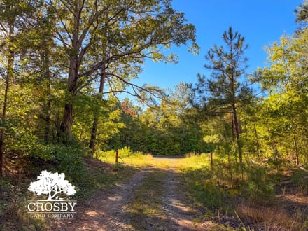 McLendons Creek Timberland