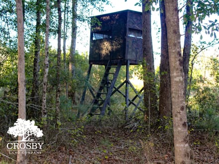 Cross Swamp East