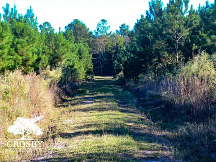 Cross Swamp East