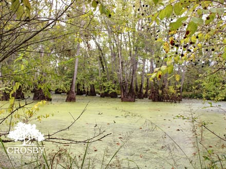Oconee River Acres