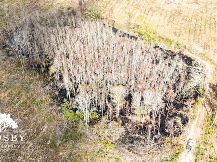 Sammons Tract