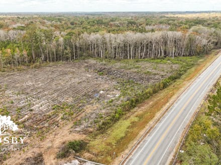 Sammons Tract