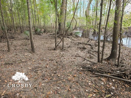 Sammons Tract