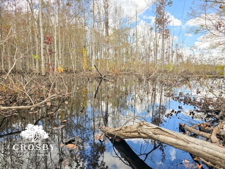 Sammons Tract