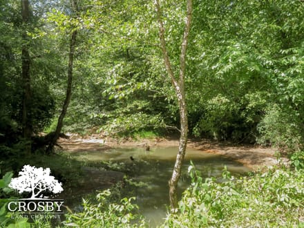 Cedar Creek