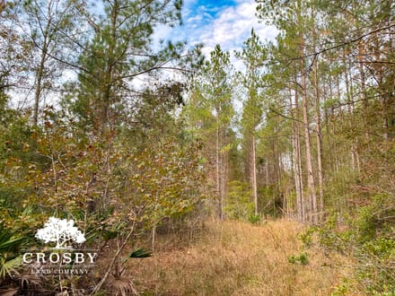 Possum Point Road 1