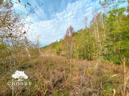 Possum Point Road 1