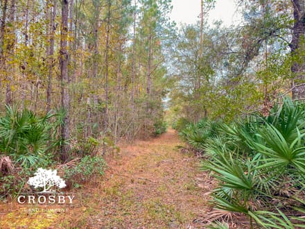 Possum Point Road 1