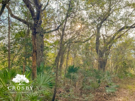 Possum Point Road 1