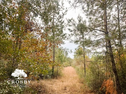 Possum Point Road 1