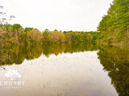 Ingrams Lakes