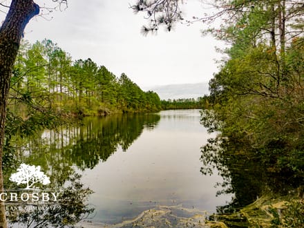 Ingrams Lakes