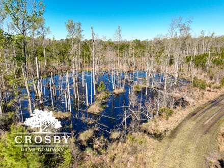 Ritter Salkehatchie