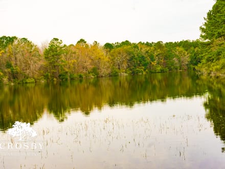 Ingrams Lakes