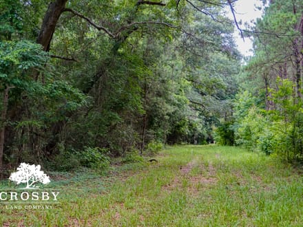 Salkehatchie River Bottoms