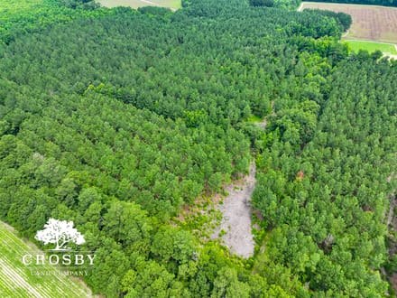 Salkehatchie River Bottoms