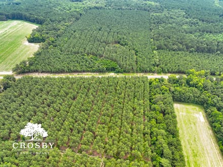 Salkehatchie River Bottoms