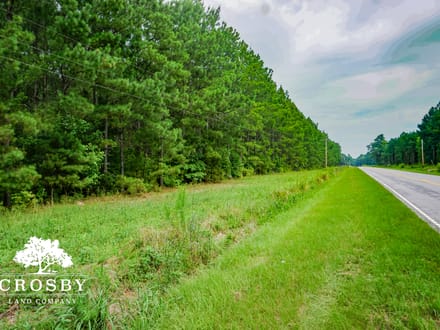 Salkehatchie River Bottoms