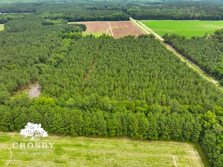 Salkehatchie River Bottoms