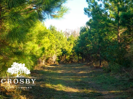 Hunting Road Tract