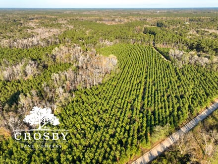 Hunting Road Tract
