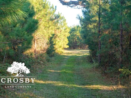 Hunting Road Tract