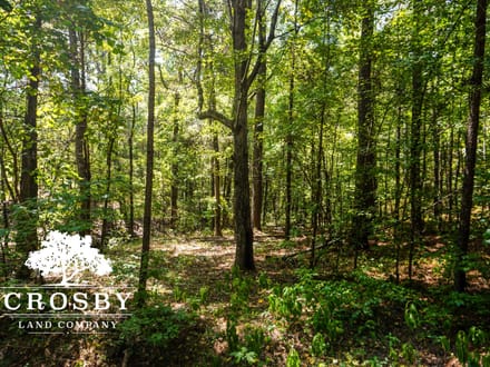 99 Road Tract West