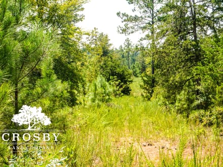 99 Road Tract West