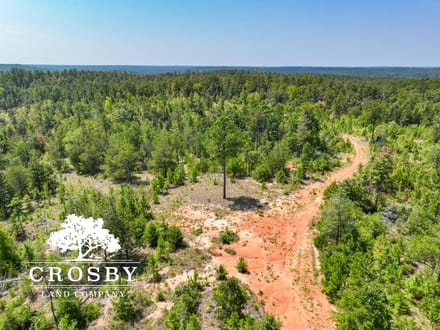 99 Road Tract West