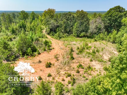 99 Road Tract West