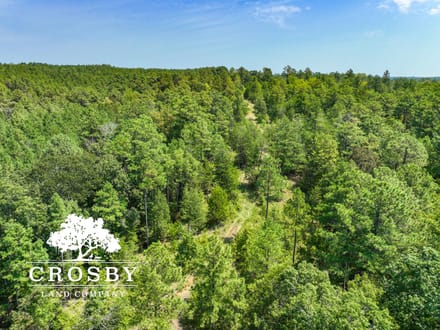99 Road Tract West