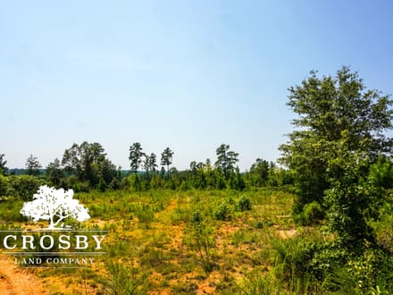 99 Road Tract West