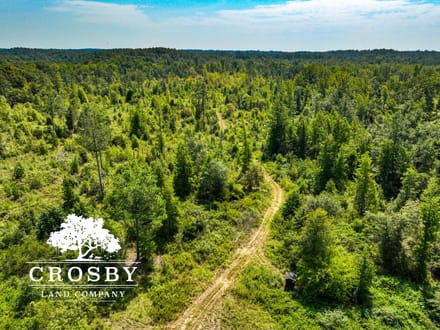 99 Road Tract East