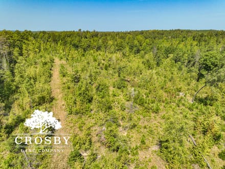 99 Road Tract East
