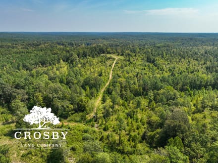 99 Road Tract East